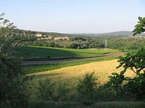 Zimmer, 1 Schlafzimmer | Unterkunftsgelände