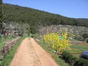 Chambre, 1 chambre | Divers