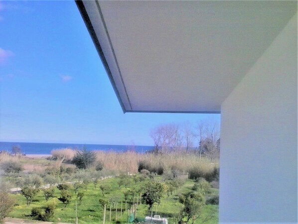 A view from a window overlooking a coastal landscape with a clear sky.