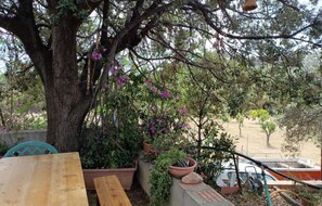 A patio area with a large tree, potted plants, and a wooden table. - Always on Foot 3 min to the Beach Center With Double Terrace (Tertenia)