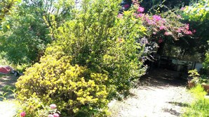 A garden with various plants and flowers, a dirt path, and a red car parked in the background. - Always on Foot 3 min to the Beach Center With Double Terrace (Tertenia)