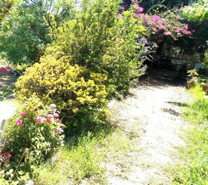 A garden with various plants and flowers, a dirt path, and a red car parked in the background. - Always on Foot 3 min to the Beach Center With Double Terrace (Tertenia)