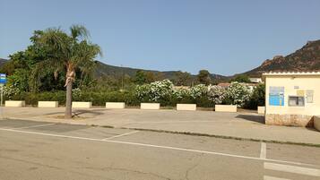 A parking area with a palm tree, white flowering bushes, and a small building with informational posters.