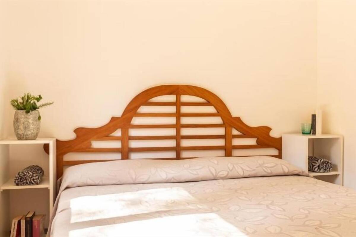 Una cama con cabecera de madera, una planta en la mesita de noche y una estantería con libros.