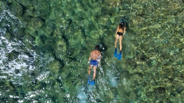Two people swimming in clear water with visible rocks.