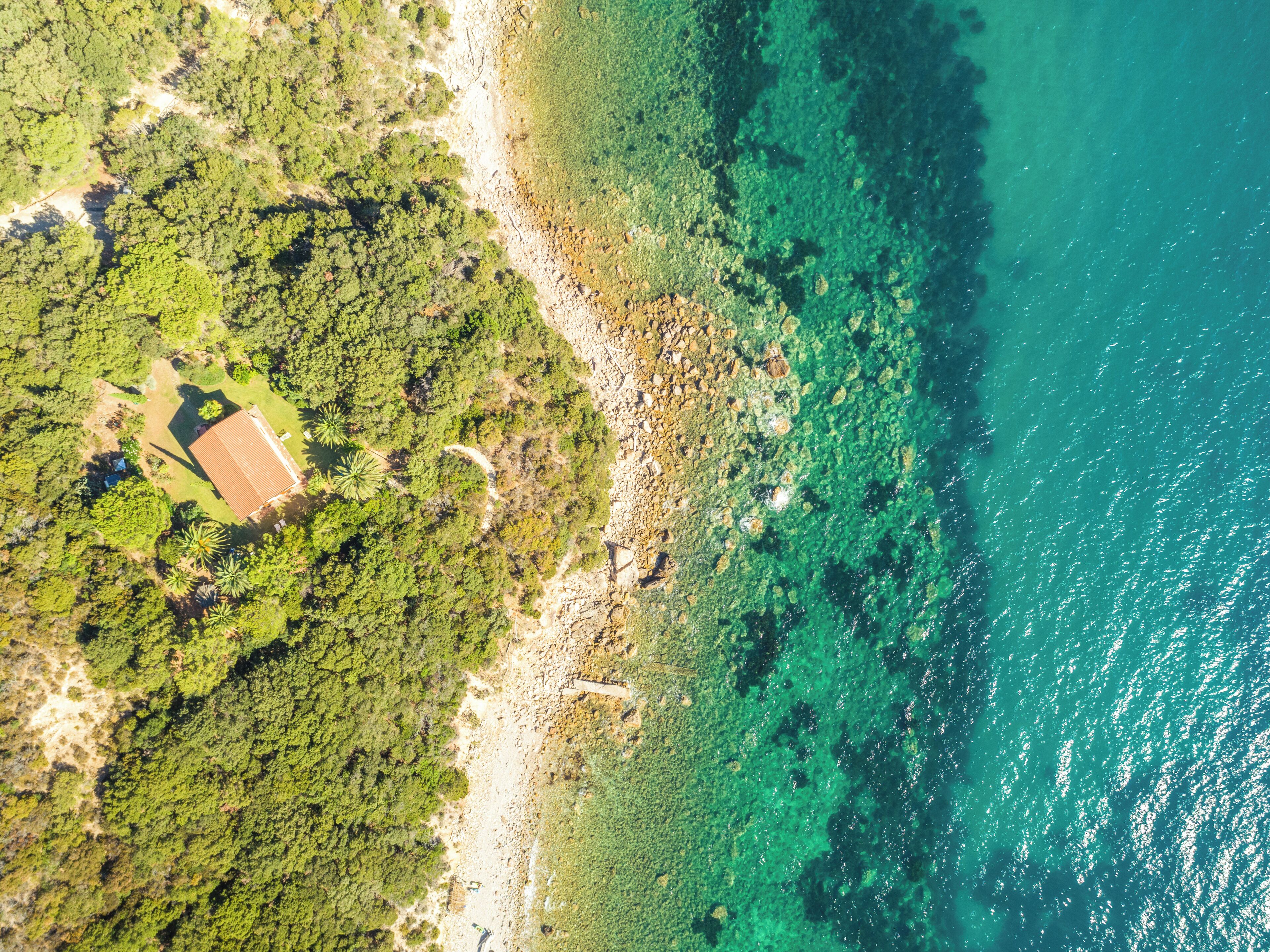 Double Room | Terrace/patio