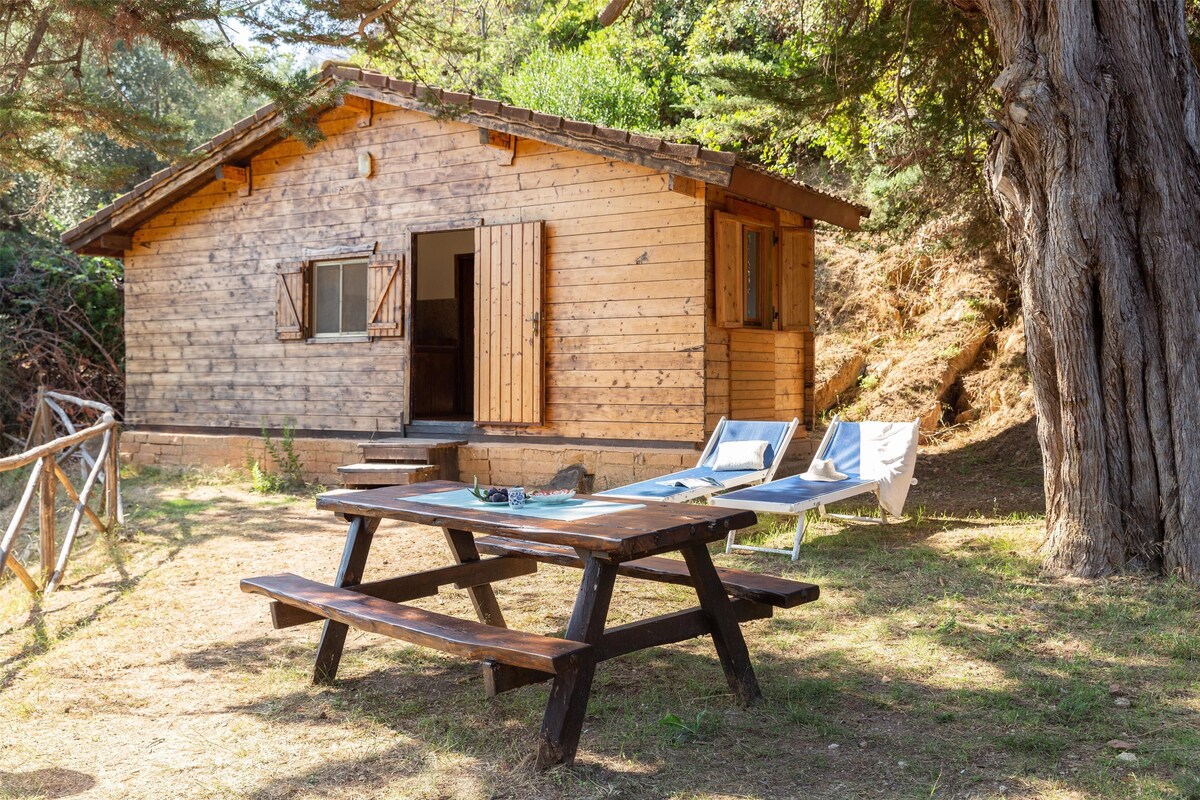 Une cabane en bois rustique, avec une table de pique-nique et deux chaises longues.