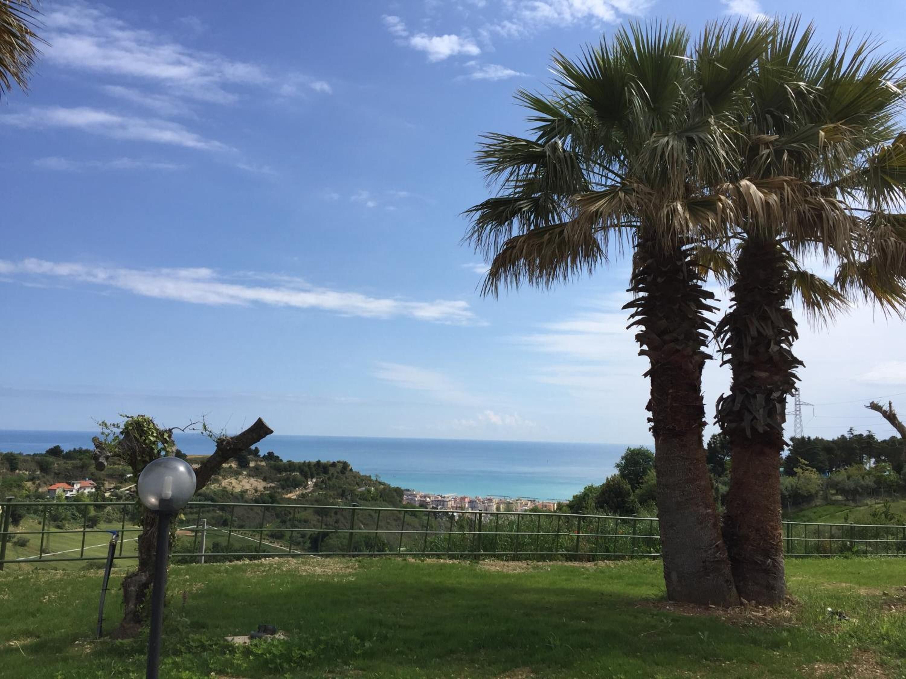 Vista de una zona costera con palmeras y cielo despejado.