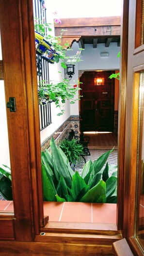 Traditional Apartment, 1 Bedroom | Terrace/patio - Casa Museo La Merced (Málaga)