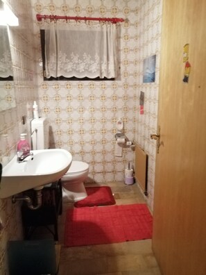 Secadora de cabello, toallas, jabón, papel de baño 