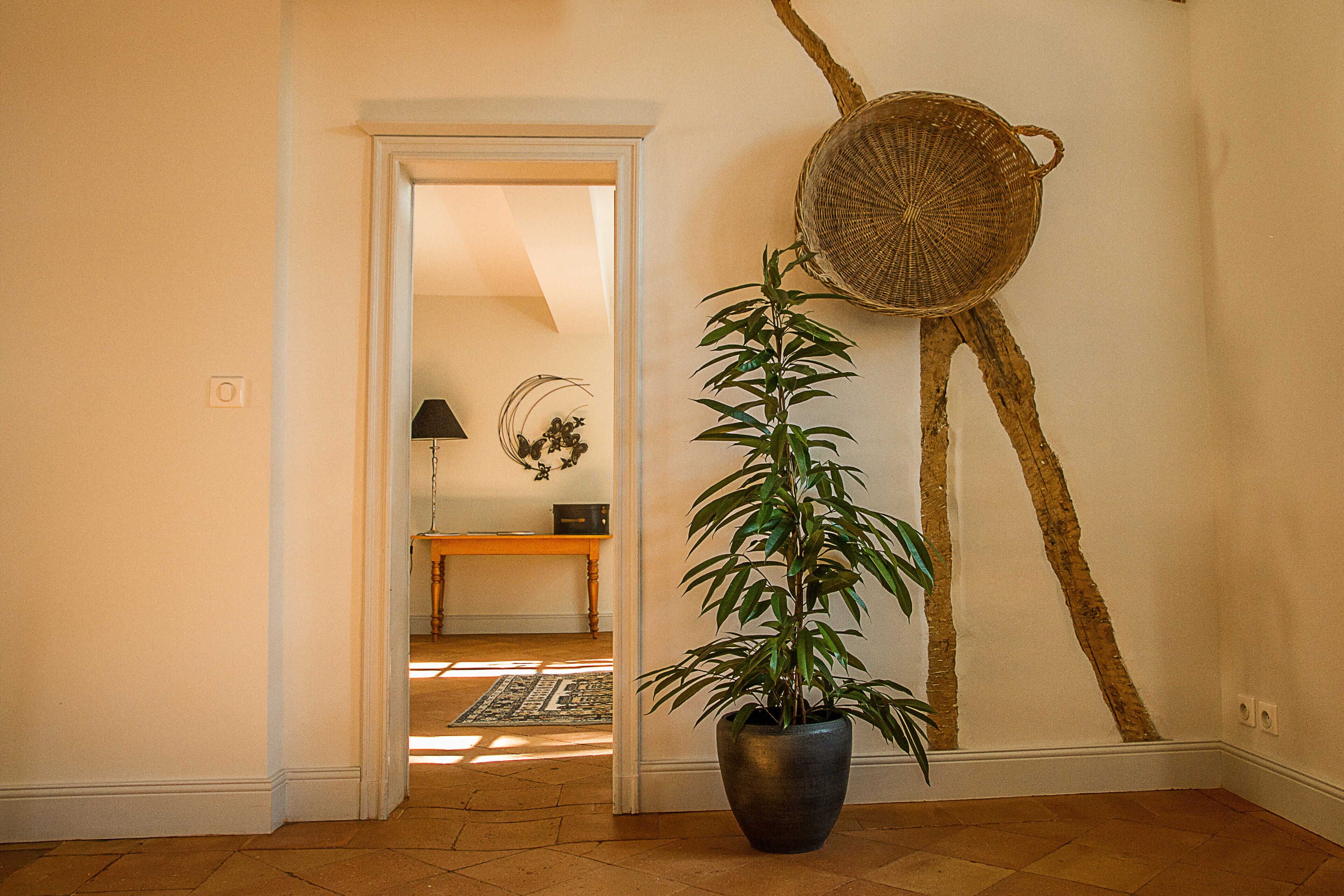 Un pasillo con una planta en maceta, una cesta tejida en la pared y una mesa de madera con una lámpara al fondo.