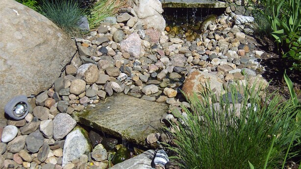 Garden - GESUND WOHNEN Apartments (Braunlage)