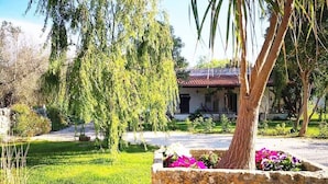 Um jardim com um vaso de pedra, uma árvore e um edifício com telhado vermelho.