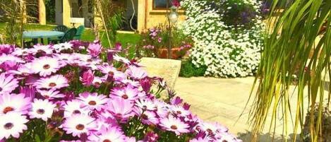 Área da propriedade