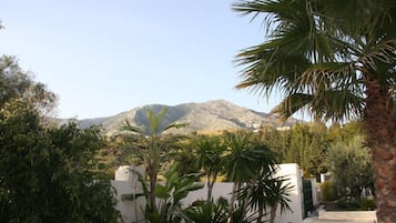 Jardín