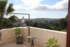 Suite Deluxe | Terraza o patio