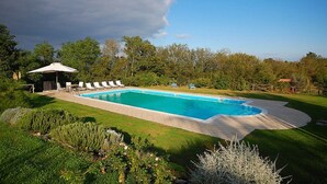 A rectangular swimming pool with a deck, surrounded by a well-maintained lawn and trees. - Green House Near Civita di Bagnoregio - Amazing Panoramic View - Free Wi-fi (Bagnoregio)