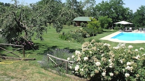 Patio con piscina, terraza de madera y una casa.