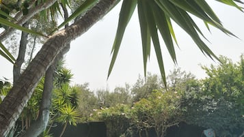 Villa, 4 Bedrooms, Smoking, Private Pool | Pool | Outdoor pool