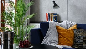 A modern living room with a blue sofa, a grey throw blanket, and a yellow pillow. There is a bookshelf with books and a black lamp. A plant and a plate of grapes are on a table. - Otium Old Town Harmonica (Kraków)