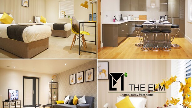 A modern hotel room with a bed, bedside table, and a desk with a chair. The room has a window with blinds and a plant on the windowsill. - The Elm Serviced Apartments (Camberley)