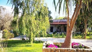 A garden with a stone planter, a tree, and a building with a red roof in the background. - APARTMENT 2 ON GARDEN (UGGIANO LA CHIESA)