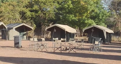 Bush Baby Calls mobile camps