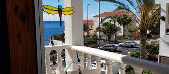 Room-the Magic Dragonfly!