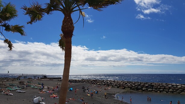 A beach with people sunbathing and swimming, a palm tree, and a rocky shoreline. - Room-the Magic Dragonfly! (Candelaria)