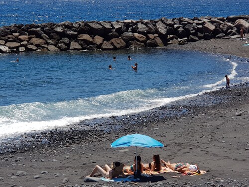 Room-the Magic Dragonfly!