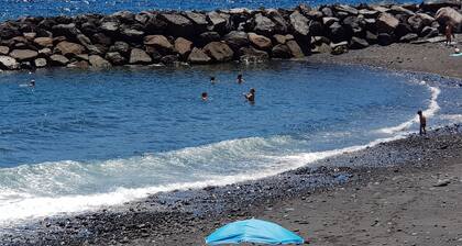 Room-the Magic Dragonfly!