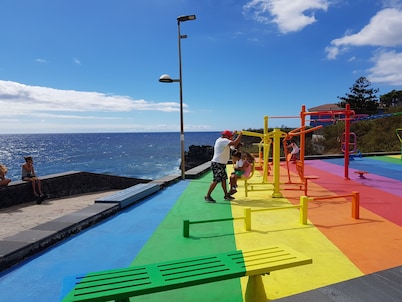 Room-the Magic Dragonfly!