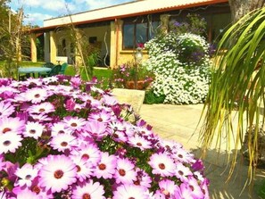 Property grounds - APARTMENT 3 ON GARDEN (Uggiano La Chiesa)