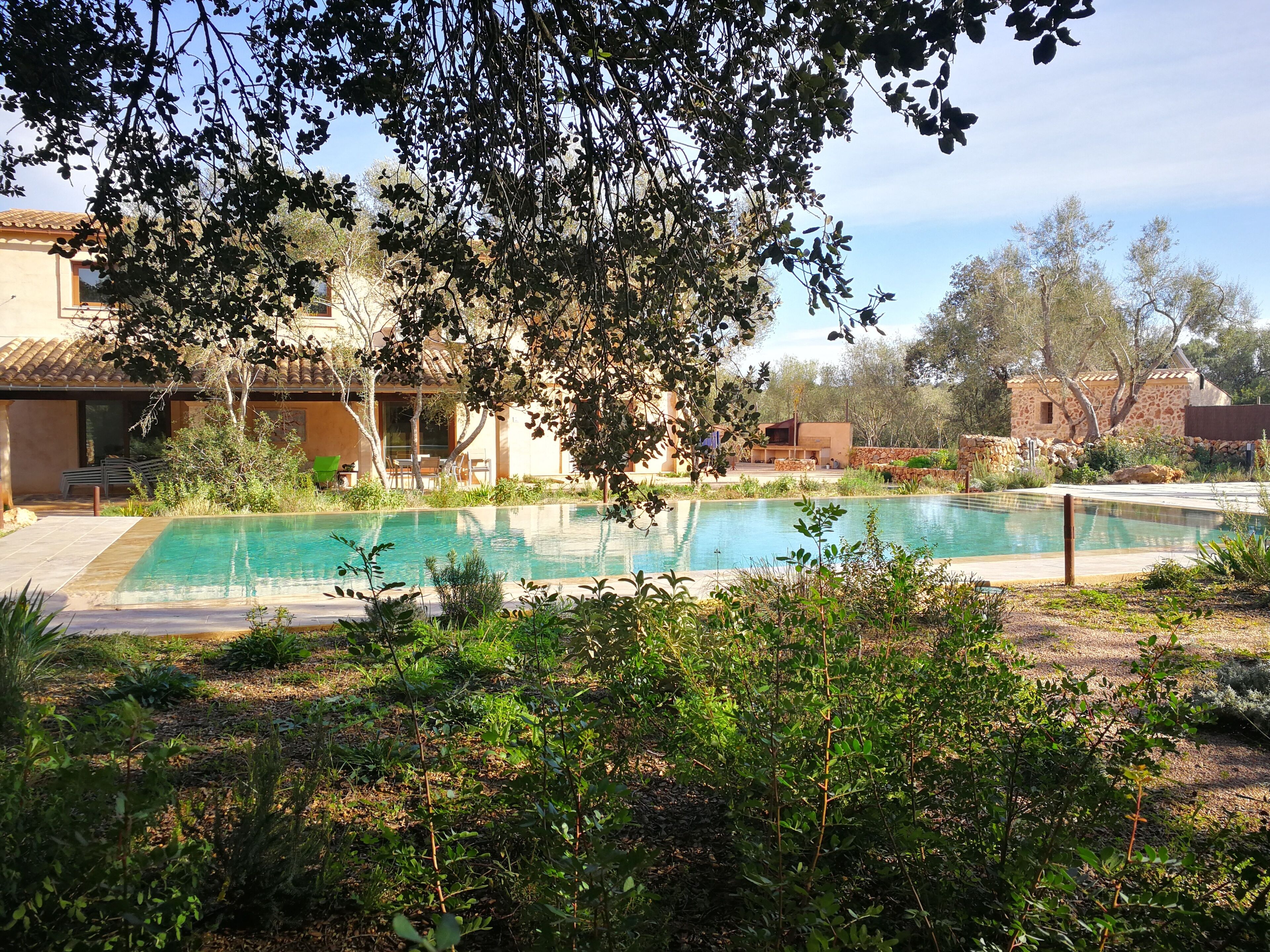 Garden - Can Madis Enjoy Your Holidays in the Very Heart of Mallorca (Costitx)