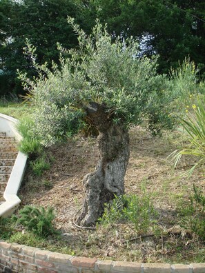 Villa, 5 camere da letto, fumatori, piscina privata | Giardino