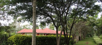 PALATIAL HOMESTAY CHATEAU