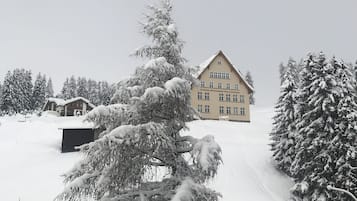 Extérieur