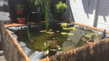 Khuôn viên nơi lưu trú