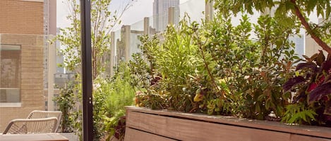 Rooftop terrace