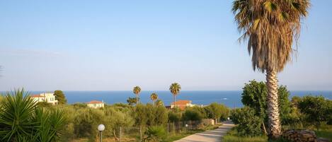 Overnatningsstedets område