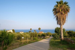 Terrain de l’hébergement 