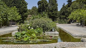 Un jardin paisible avec un étang, entouré de sentiers de pierre et d’une végétation luxuriante.