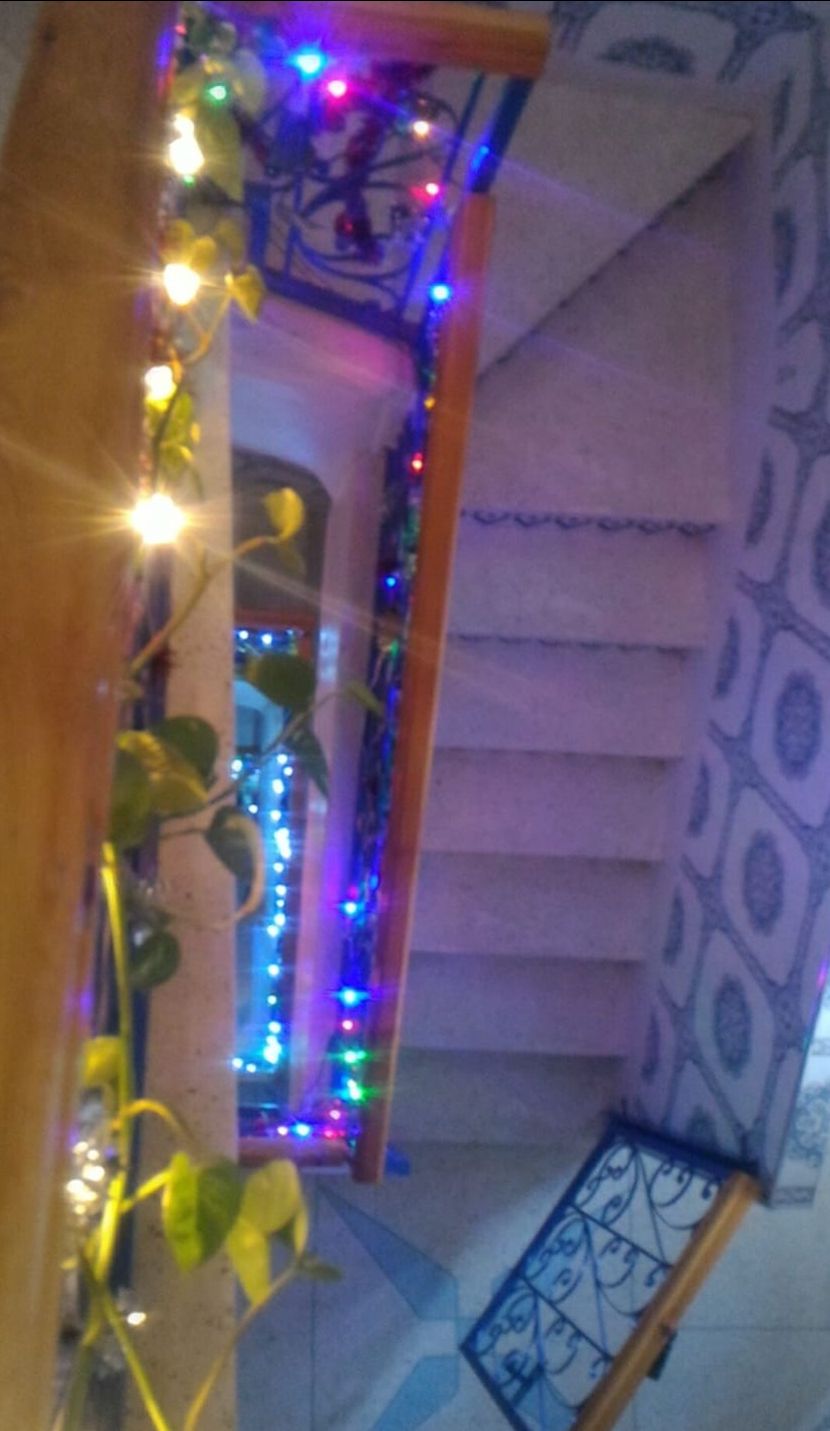 Una escalera con papel tapiz estampado y barandilla de madera.