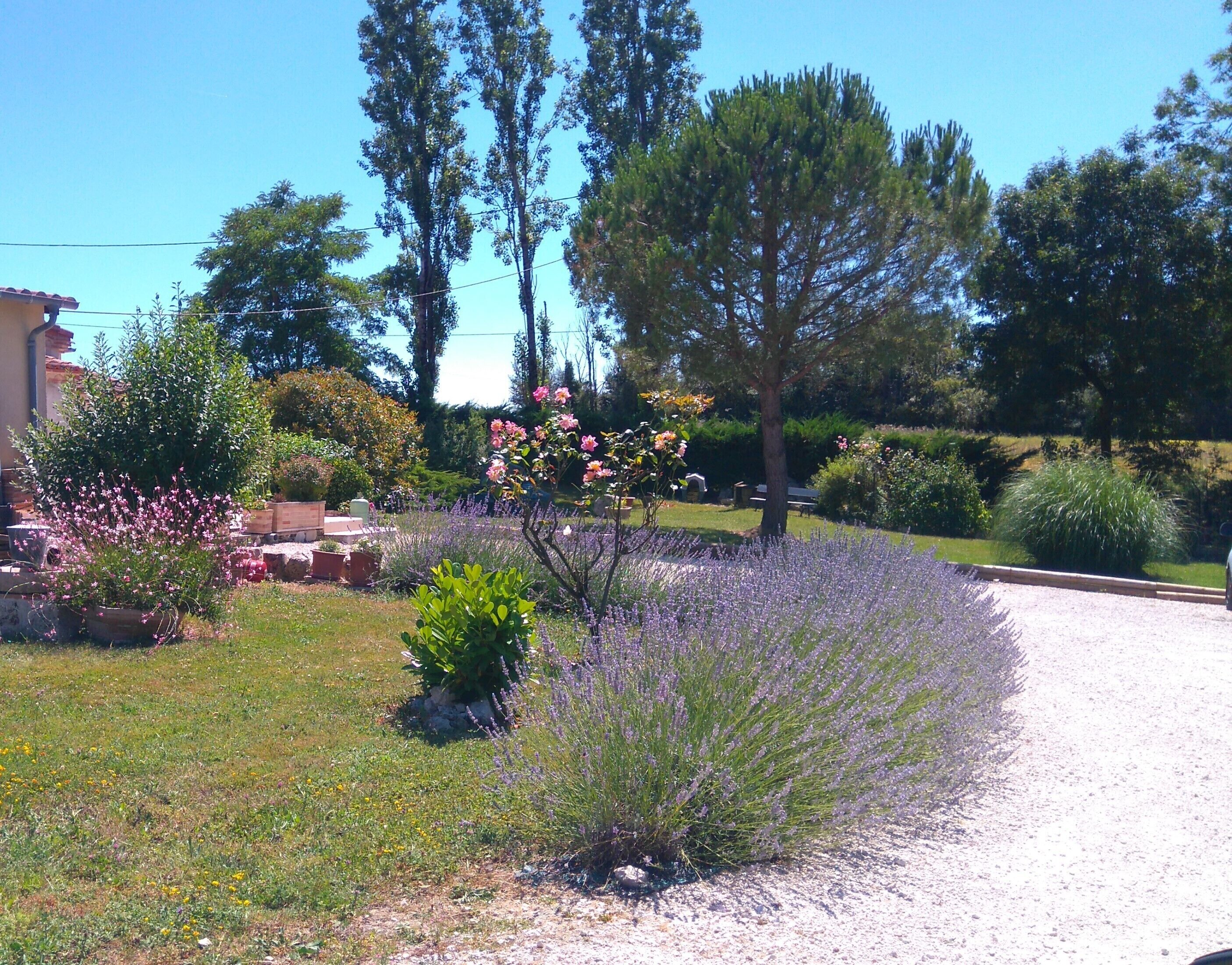 Jardines del alojamiento