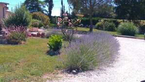 Un jardin avec différentes espèces de plantes et un chemin de gravier.