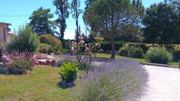 Jardines del alojamiento