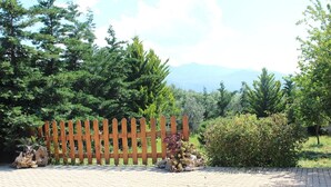 Une clôture en bois avec un portail, entourée d’une végétation luxuriante et d’arbres.