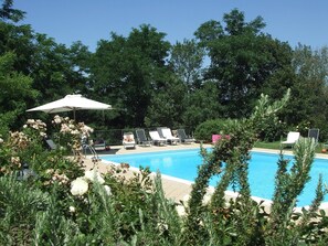 A swimming pool with lounge chairs and an umbrella. - Red House/casa Rossa - Near Civita Di Bagnoregio (Bagnoregio)