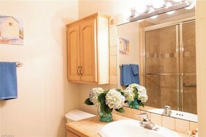 Combined shower/bathtub, hair dryer, towels, toilet paper