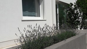 Ein modernes Gebäude mit weißer Fassade, einem Fenster und einem Blumenkasten mit Lavendelpflanzen.